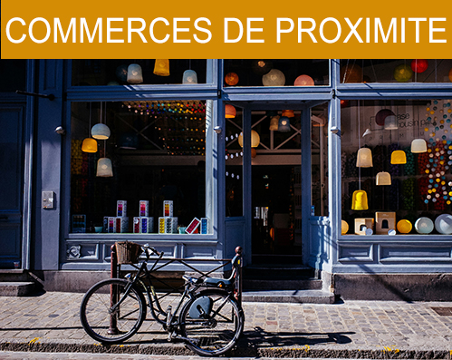 Google Ads Commerce Proximite