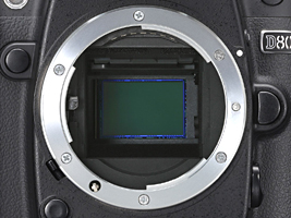   Le capteur CCD de 10.2 Mpixels du Nikon D80 caché derrière le miroir réflex. Dans ce cas-ci l'obturateur mécanique a été ouvert.