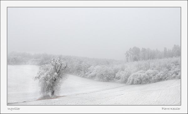 Photographier les paysages de neige par Pierre Kessler