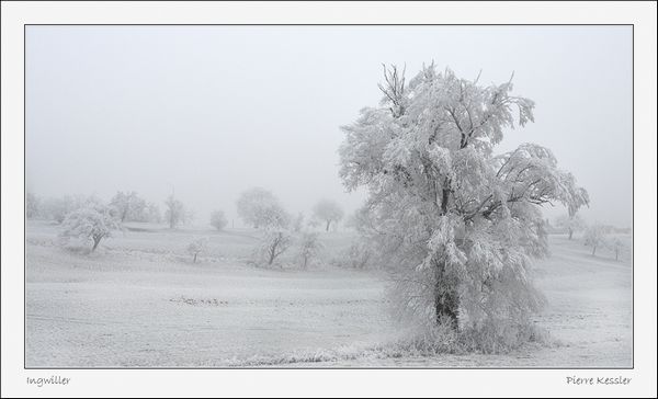 Photographier les paysages de neige par Pierre Kessler