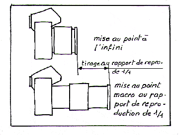 Objectifs macro et rapport de reproduction