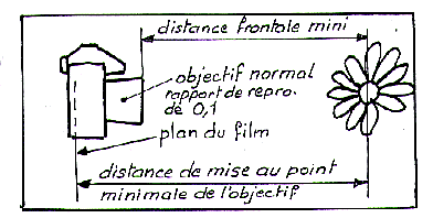Schéma Rapport de reproduction