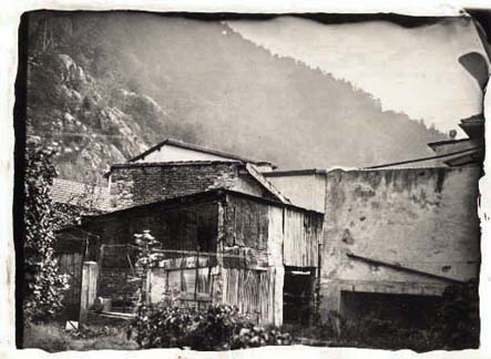 Collodion sec au tanin