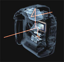 Trajet du rayon lumineux visée reflex