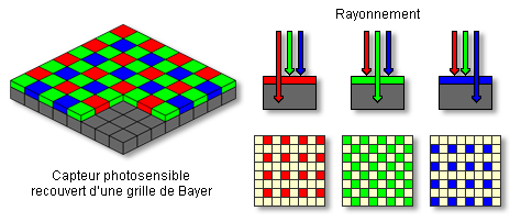 Capteur photosensible et grille de Bayer