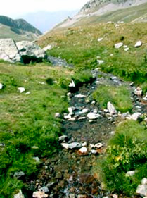 Cadrage vertical