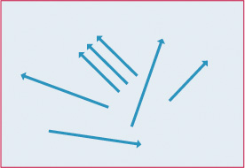 Lignes directrices