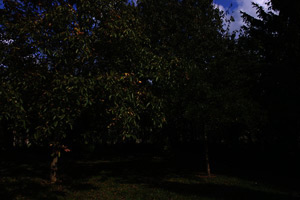 Photo sous-exposée