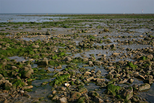 Faire des photos de paysage