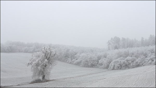 Photographier les paysages de neige par Pierre Kessler