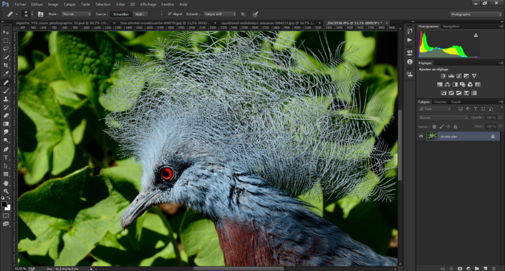 cours photoshop texte 1 photo1