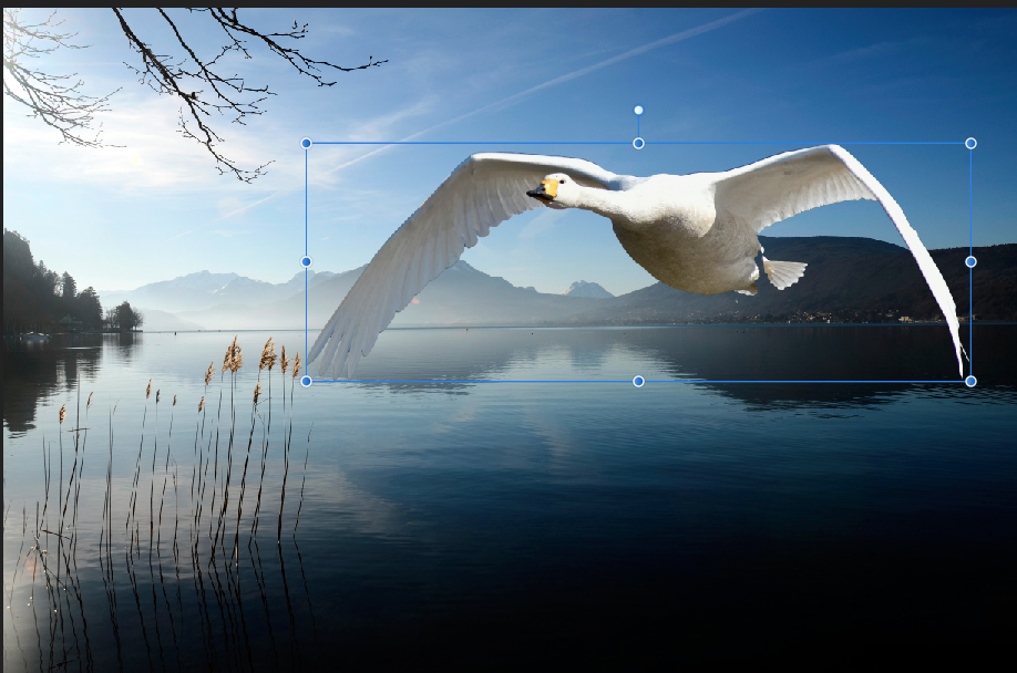 affinity photo cours 3 3