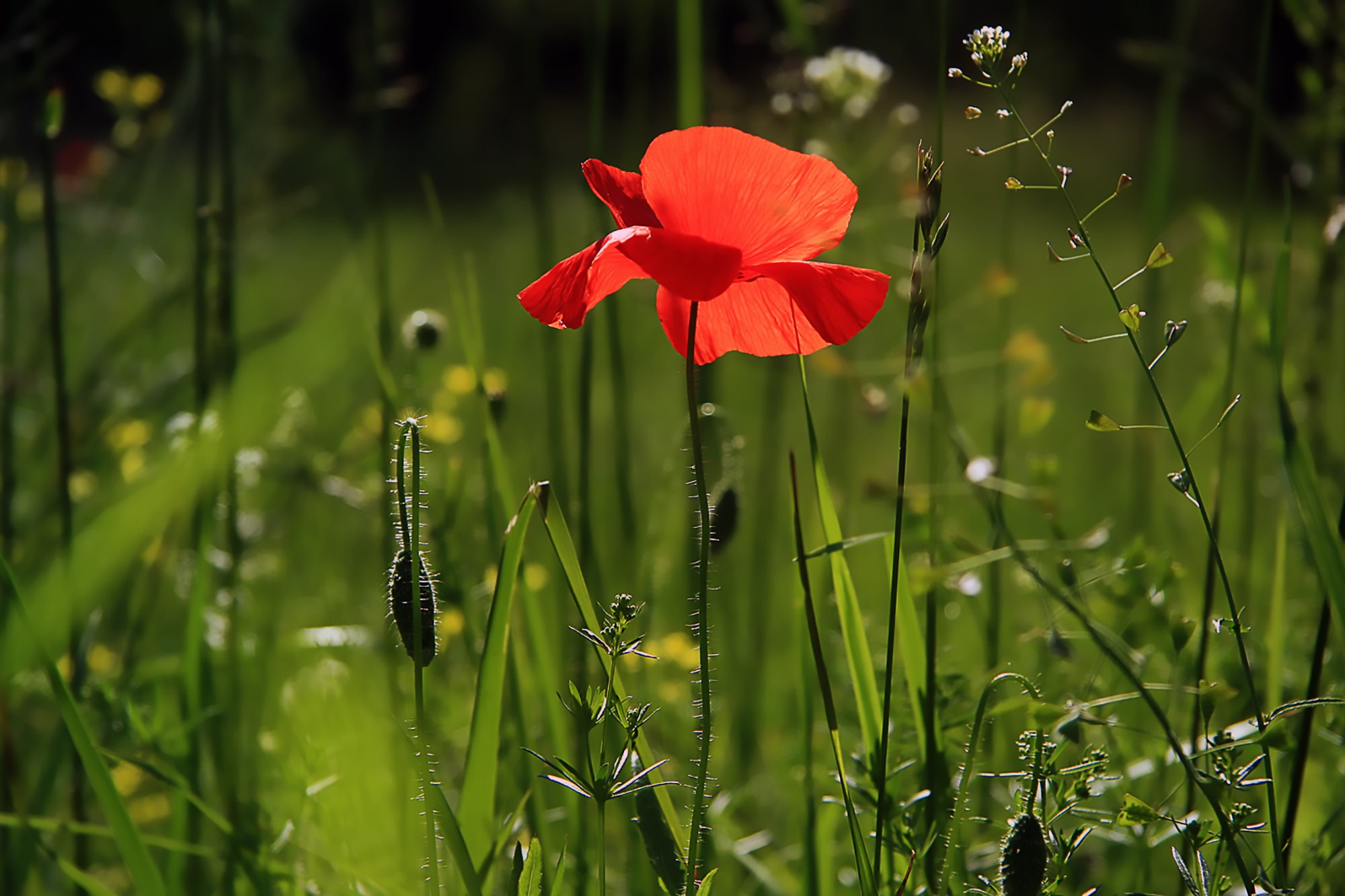 photographie cours 6 6