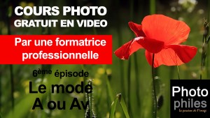 vignette YTB cours photographie 6 Personnalisé