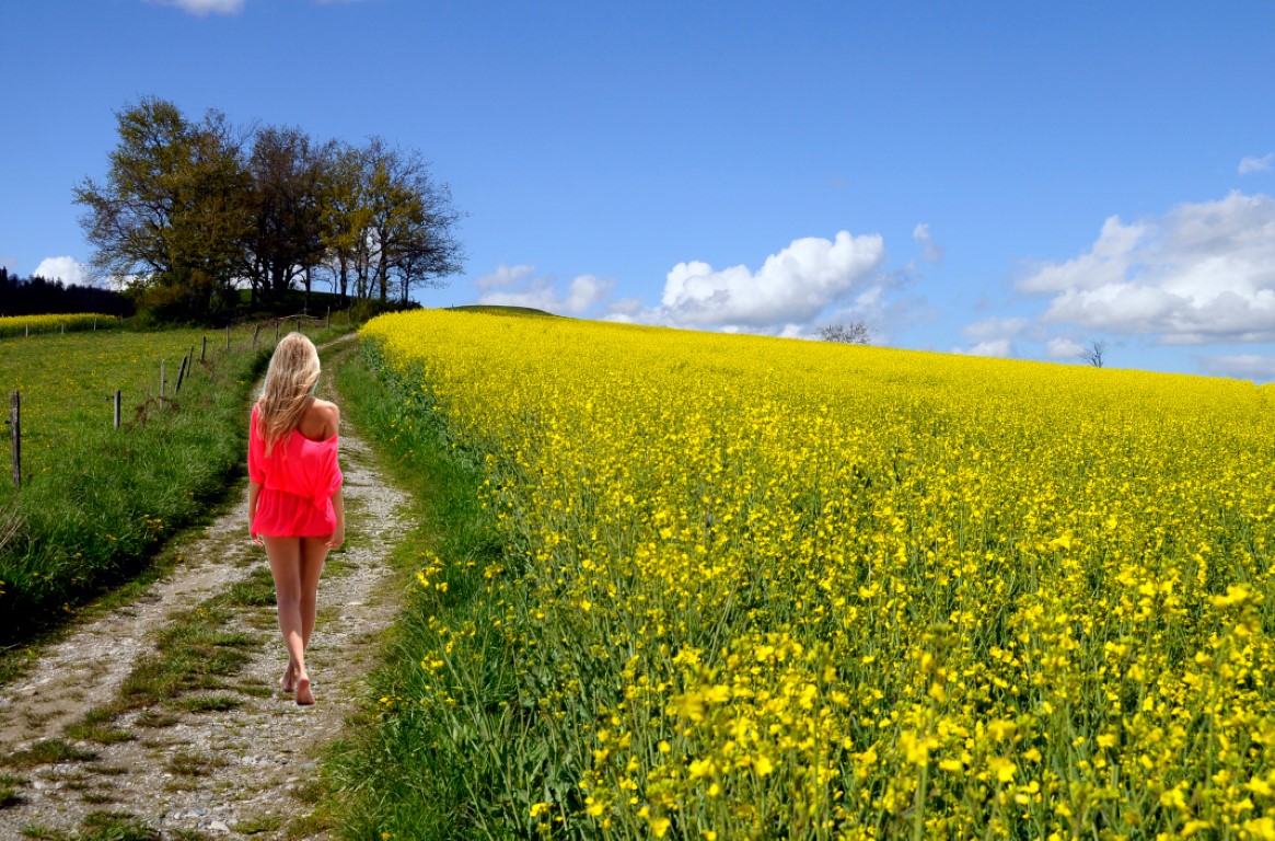 photoshop cours 3 4
