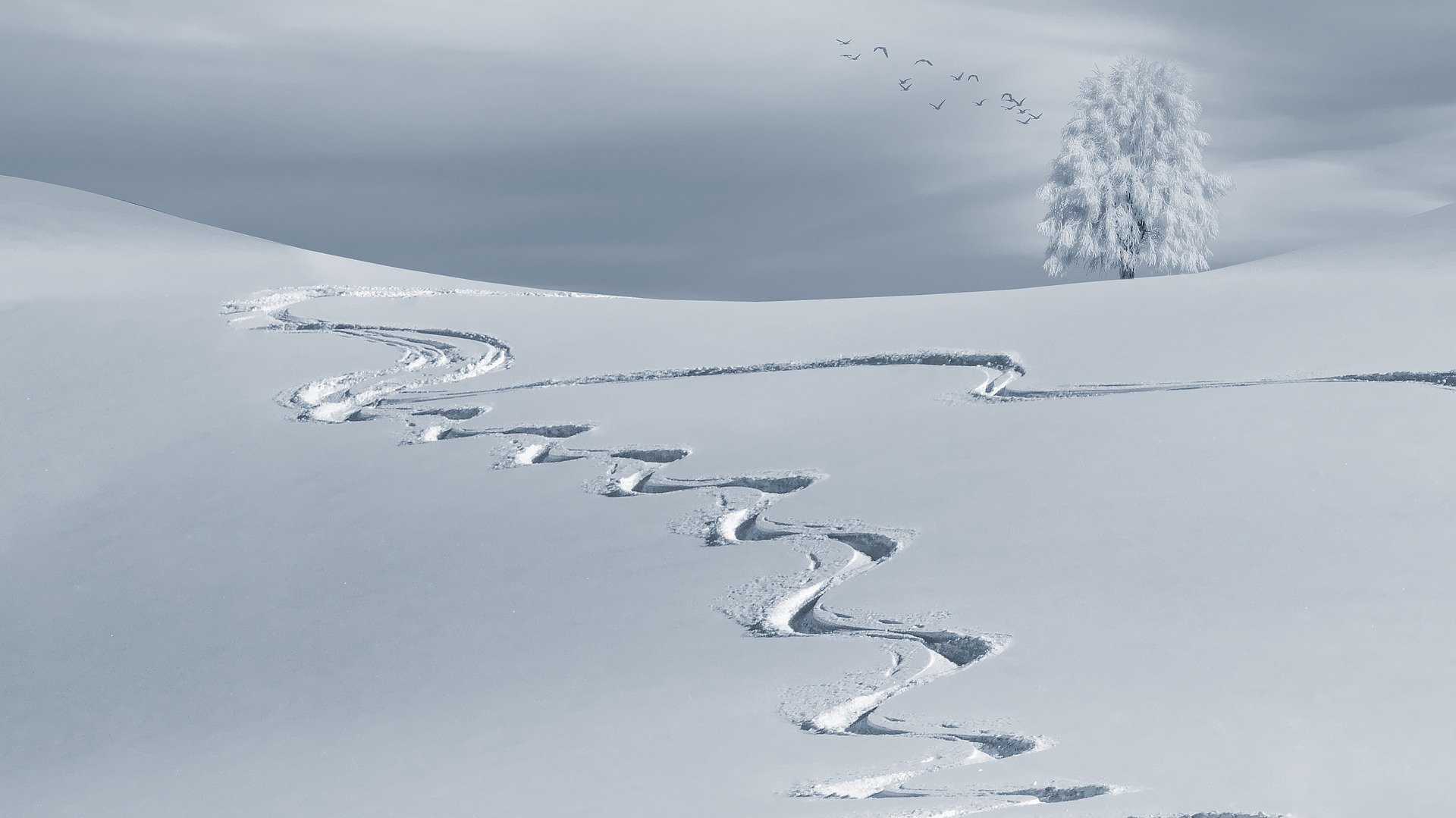 La photographie en montagne